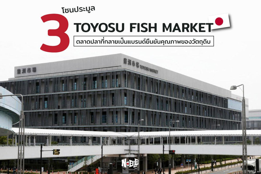 3 โซนประมูล Toyosu Fish Market ตลาดปลาที่กลายเป็นแบรนด์ยืนยันคุณภาพของวัตถุดิบ - NobleMono