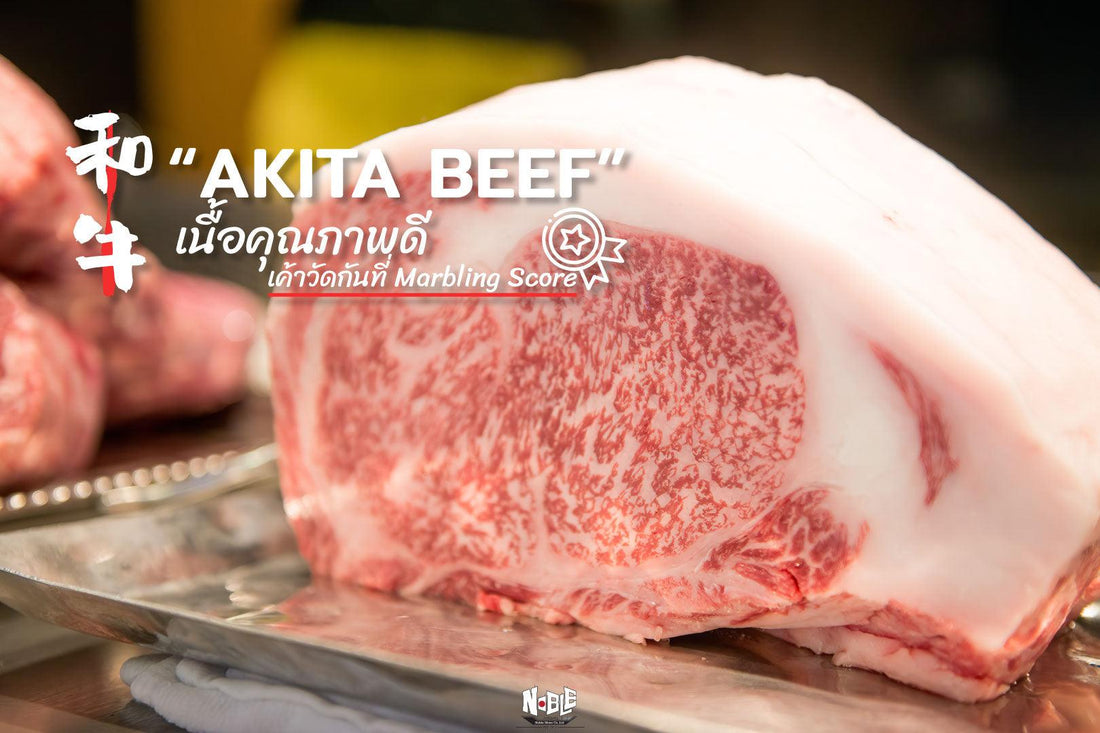 “Akita Beef” เนื้อคุณภาพดี เค้าวัดกันที่Marbling Score - NobleMono