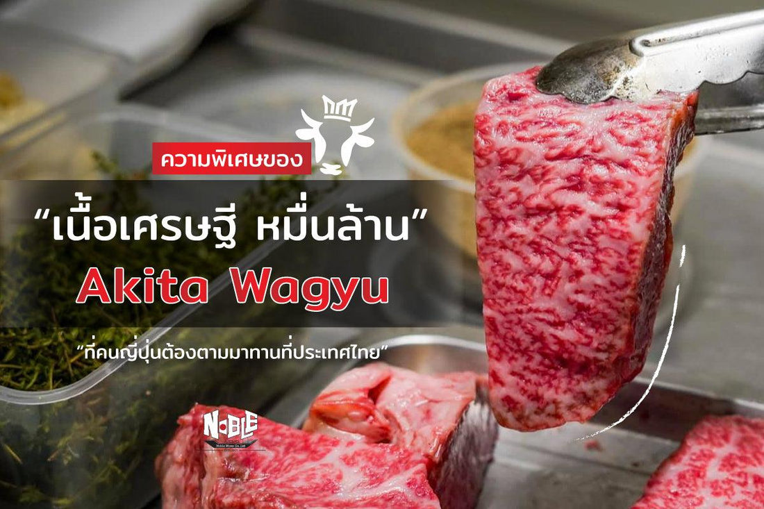 Akita Beef ความพิเศษของเนื้อเศรษฐี หมื่นล้าน - NobleMono