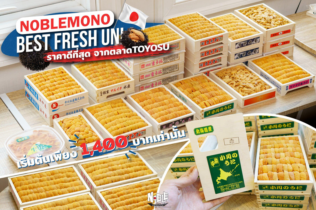 กลับมาอีกครั้งโปรโมชั่น เริ่มต้นเพียง 𝟏,𝟒𝟎𝟎 บาท กับ Noblemono X Best Fresh Uni - NobleMono