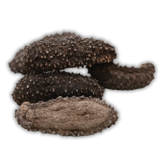 Dried Sea Cucumber