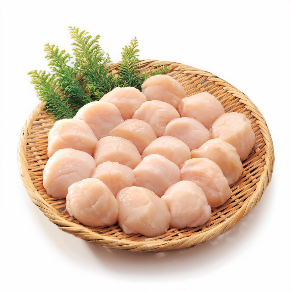 Frozen Scallop Meat