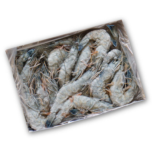 Frozen Blue Shrimp (กุ้งนางฟ้านิวแคลิโดเนีย แช่แข็ง)