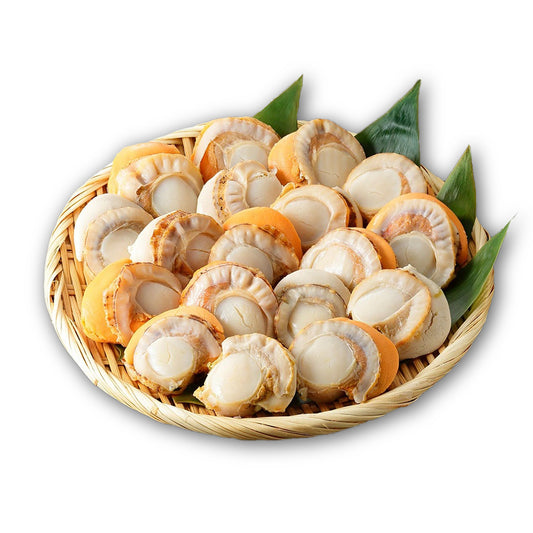 Frozen Boild Scallop Meat (เนื้อหอยเชลล์ต้ม แช่แข็ง)