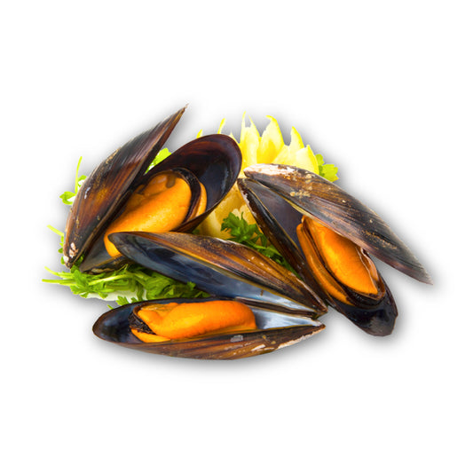 Frozen Boiled Mussel (หอยแมลงภู่ต้ม แช่แข็ง)