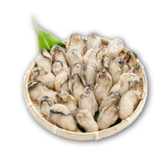 Frozen Oyster Meat (เนื้อหอยนางรม แช่แข็ง)