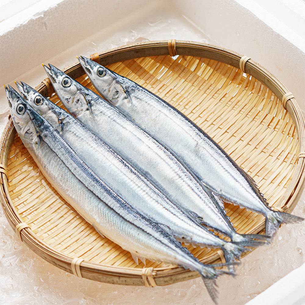 Sanma (ปลาซันมะ)