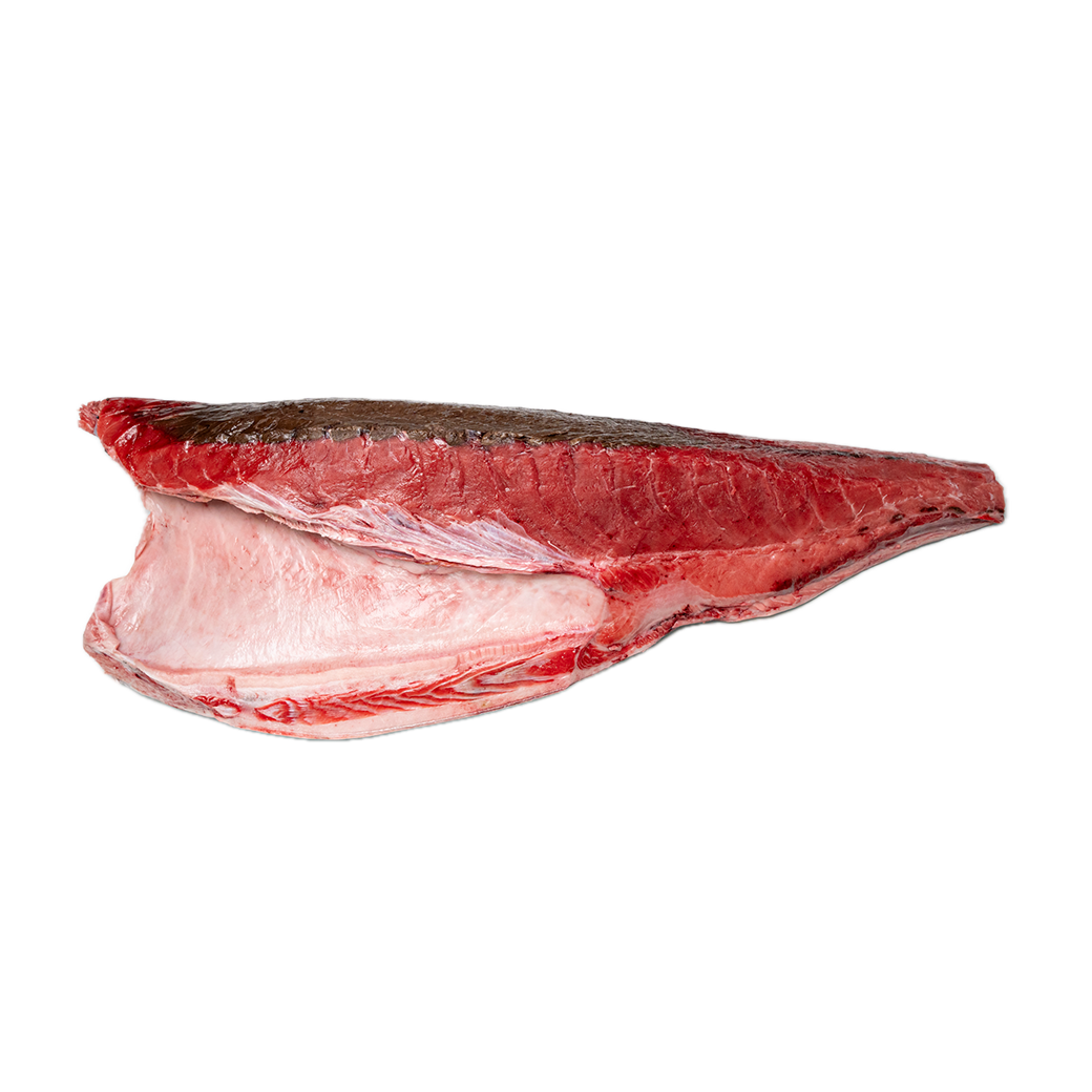 Bluefin Tuna - Bellyloin